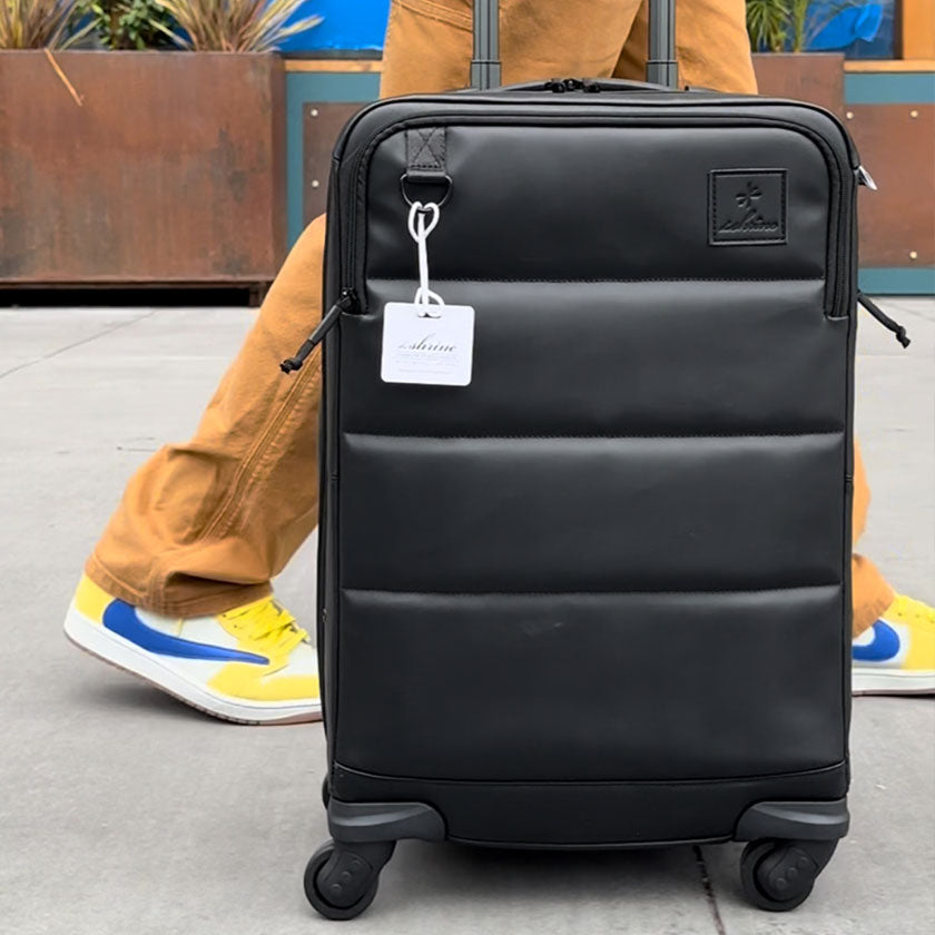 Sneaker travel case online